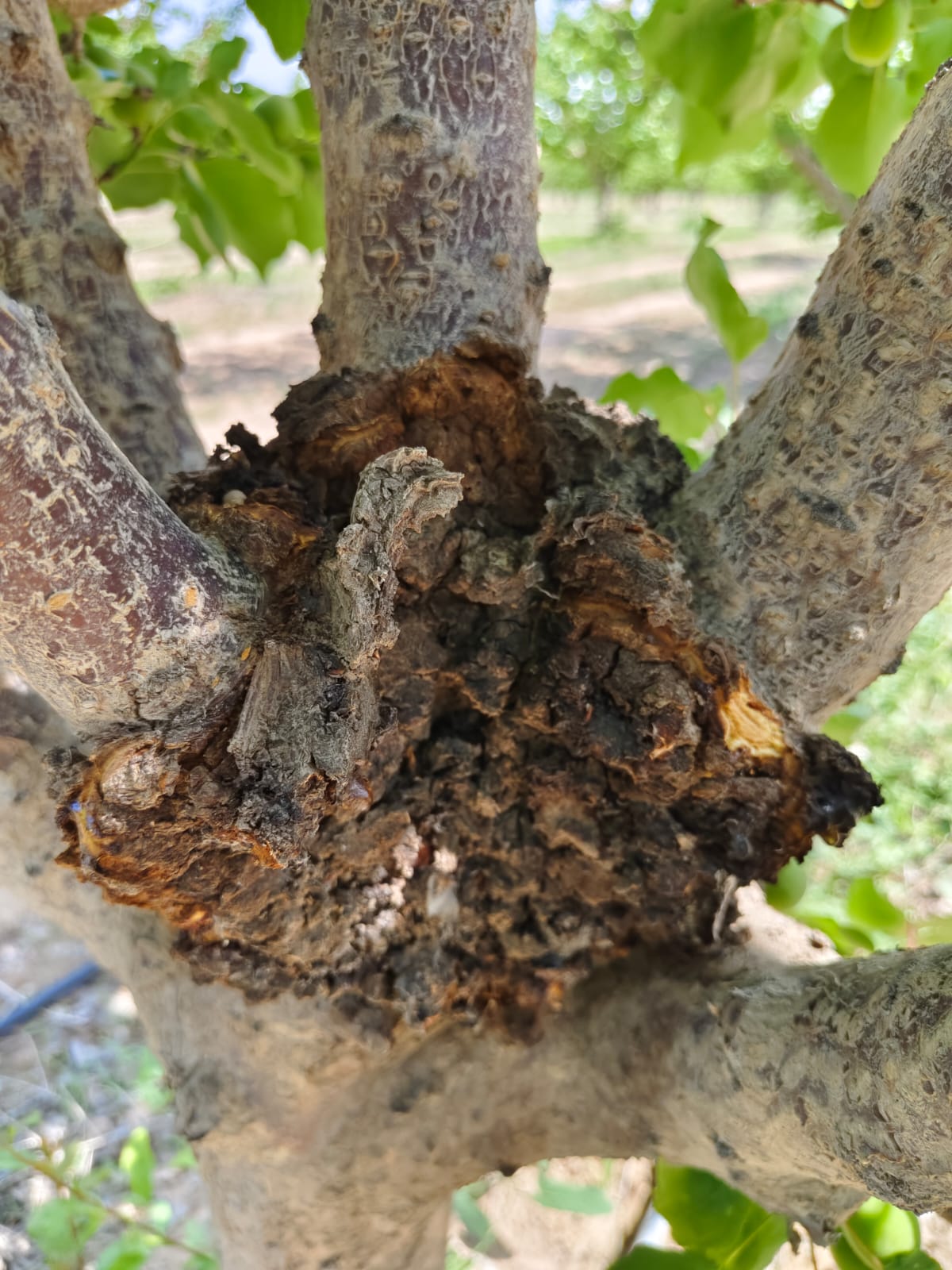 PHOTO-2024-07-15-16-37-58