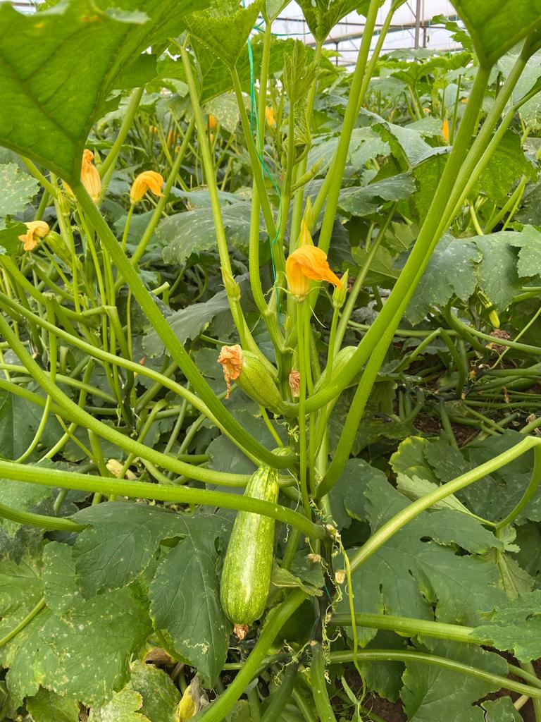 PHOTO-2024-07-15-16-41-03